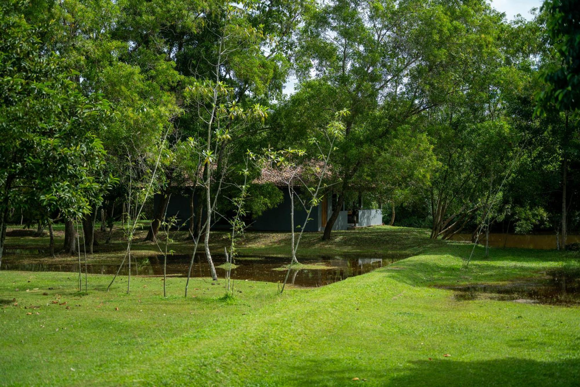 Wirdana Resort & Spa Bussa エクステリア 写真